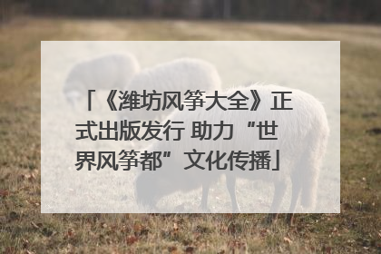 《潍坊风筝大全》正式出版发行 助力“世界风筝都”文化传播