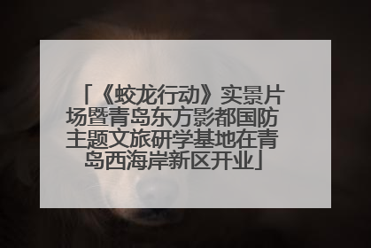 《蛟龙行动》实景片场暨青岛东方影都国防主题文旅研学基地在青岛西海岸新区开业