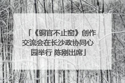 《铜官不止窑》创作交流会在长沙政协同心园举行 陈刚出席