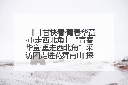 「甘快看·青春华章·重走西北角」“青春华章·重走西北角”采访团走进花舞南山 探寻天水乡村振兴之路