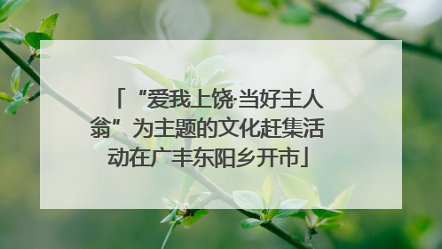 “爱我上饶·当好主人翁”为主题的文化赶集活动在广丰东阳乡开市