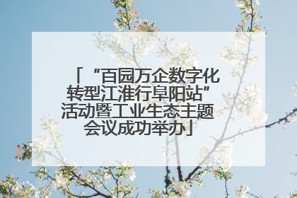 “百园万企数字化转型江淮行阜阳站”活动暨工业生态主题会议成功举办