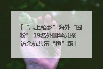 “禹上稻乡”海外“圈粉” 19名外国学员探访余杭共富“稻”路