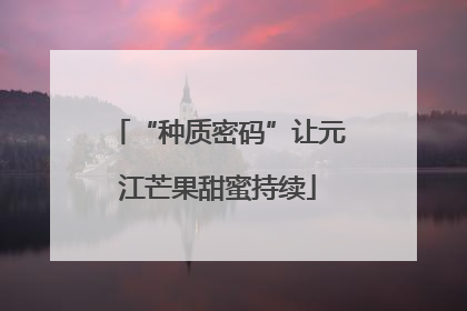 “种质密码”让元江芒果甜蜜持续