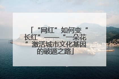 “网红”如何变“长红”——“一朵花”激活城市文化基因的破题之路