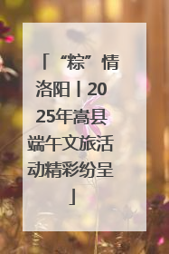 “粽”情洛阳丨2025年嵩县端午文旅活动精彩纷呈