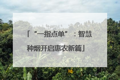 “一指点单”：智慧种烟开启惠农新篇