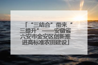 “三结合”带来“三提升”——安徽省六安市金安区创新推进高标准农田建设