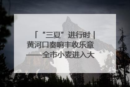 “三夏”进行时｜黄河口奏响丰收乐章——全市小麦进入大面积收获高峰期