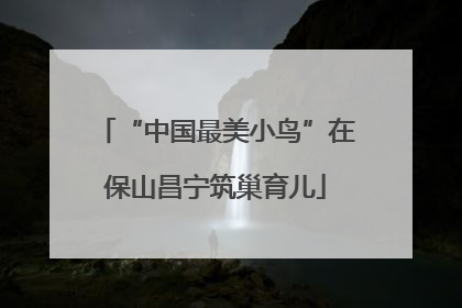 “中国最美小鸟”在保山昌宁筑巢育儿