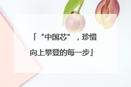 “中国芯”，珍惜向上攀登的每一步