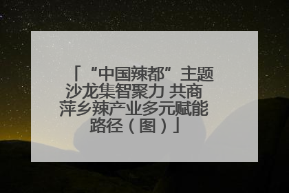 “中国辣都”主题沙龙集智聚力 共商萍乡辣产业多元赋能路径（图）