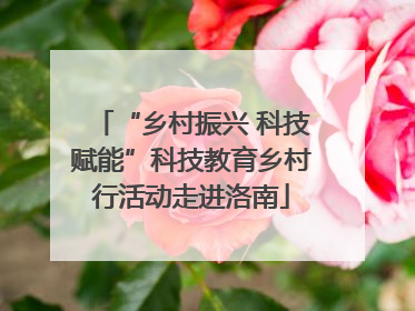 “乡村振兴 科技赋能”科技教育乡村行活动走进洛南