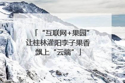“互联网+果园”让桂林灌阳李子果香飘上“云端”