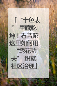 “十色表” 里藏乾坤！看普陀这里如何用 “绣花功夫” 织就社区治理