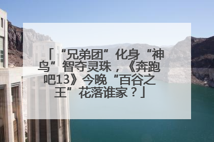 “兄弟团”化身“神鸟”智夺灵珠，《奔跑吧13》今晚“百谷之王”花落谁家？