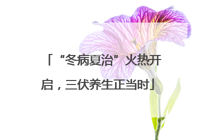 “冬病夏治”火热开启，三伏养生正当时