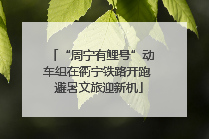 “周宁有鲤号”动车组在衢宁铁路开跑 避暑文旅迎新机
