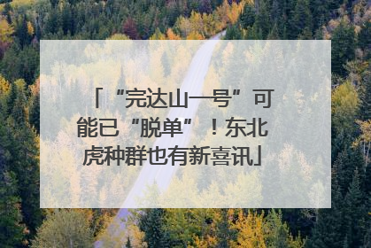 “完达山一号”可能已“脱单”！东北虎种群也有新喜讯