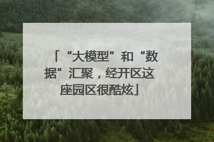 “大模型”和“数据”汇聚，经开区这座园区很酷炫