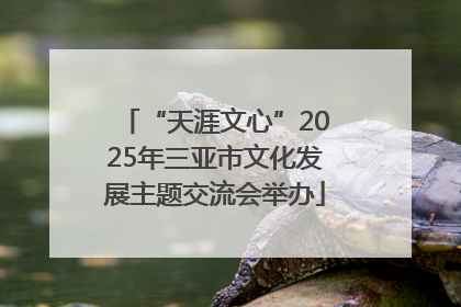 “天涯文心”2025年三亚市文化发展主题交流会举办
