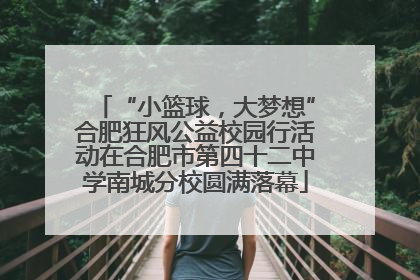 “小篮球，大梦想”合肥狂风公益校园行活动在合肥市第四十二中学南城分校圆满落幕