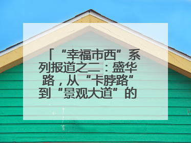 “幸福市西”系列报道之二：盛华路，从“卡脖路”到“景观大道”的华丽转身
