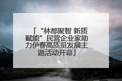 “林都聚智 新质赋能”民营企业家助力伊春高质量发展主题活动开幕