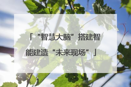 “智慧大脑”搭建智能建造“未来现场”