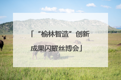 “榆林智造”创新成果闪耀丝博会
