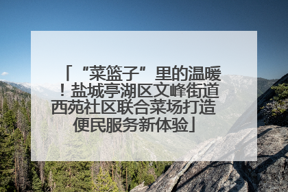 “菜篮子”里的温暖！盐城亭湖区文峰街道西苑社区联合菜场打造便民服务新体验