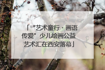 “艺术童行・画语传爱”少儿绘画公益艺术汇在西安落幕