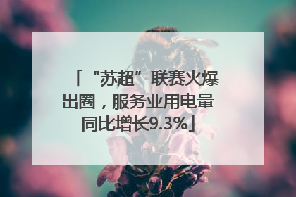 “苏超”联赛火爆出圈，服务业用电量同比增长9.3%