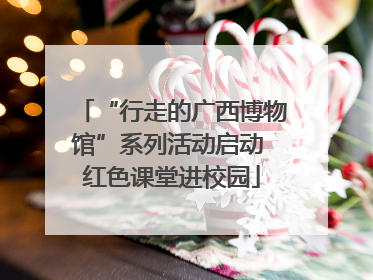 “行走的广西博物馆”系列活动启动 红色课堂进校园