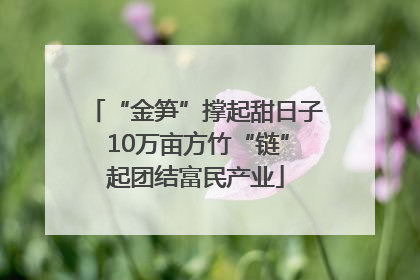 “金笋”撑起甜日子 10万亩方竹“链”起团结富民产业