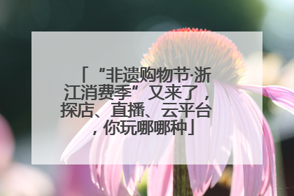 “非遗购物节·浙江消费季”又来了，探店、直播、云平台，你玩哪哪种