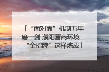 “面对面”机制五年磨一剑 濮阳营商环境“金招牌”这样炼成