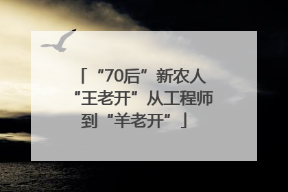 “70后”新农人“王老开”从工程师到“羊老开”