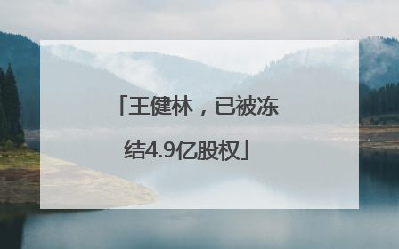 王健林，已被冻结4.9亿股权