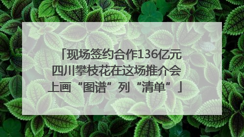 现场签约合作136亿元 四川攀枝花在这场推介会上画“图谱”列“清单”