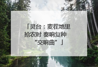 灵台：麦茬地里抢农时 奏响复种“交响曲”