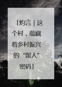 灼言｜这个村，蕴藏着乡村振兴的“留人”密码