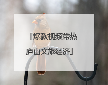 爆款视频带热庐山文旅经济