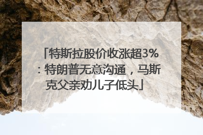 特斯拉股价收涨超3%：特朗普无意沟通，马斯克父亲劝儿子低头
