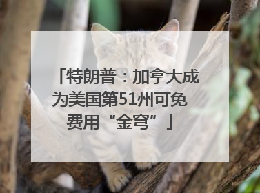 特朗普：加拿大成为美国第51州可免费用“金穹”