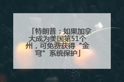 特朗普：如果加拿大成为美国第51个州，可免费获得“金穹”系统保护