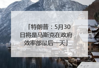 特朗普：5月30日将是马斯克在政府效率部最后一天
