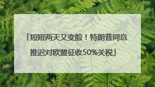 短短两天又变脸！特朗普同意推迟对欧盟征收50%关税