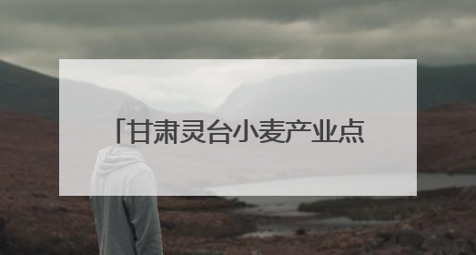 甘肃灵台小麦产业点燃乡村振兴新引擎