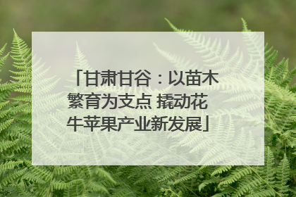 甘肃甘谷：以苗木繁育为支点 撬动花牛苹果产业新发展